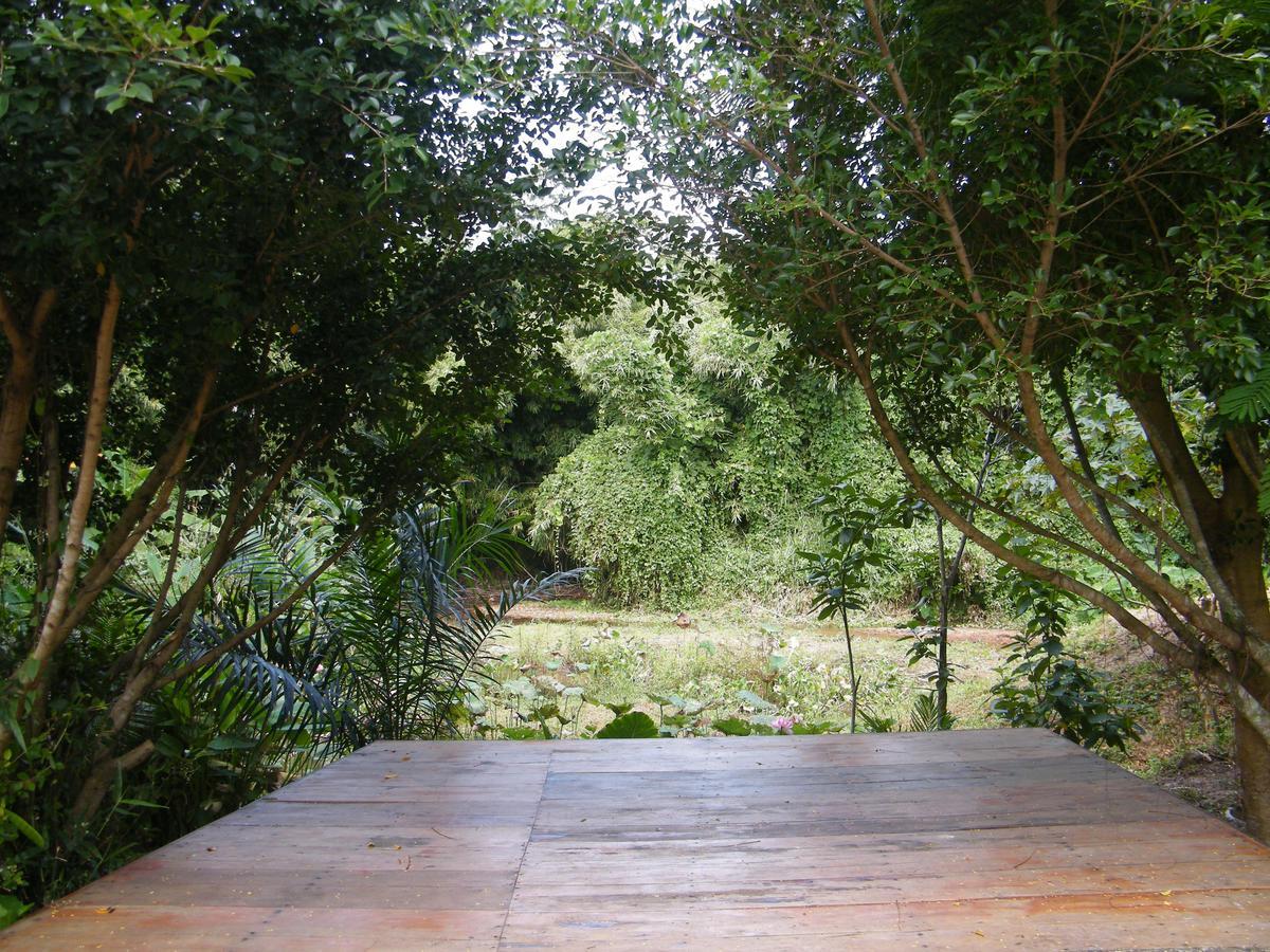 Ya Teng Homestay Ban Tha Sai Luaran gambar